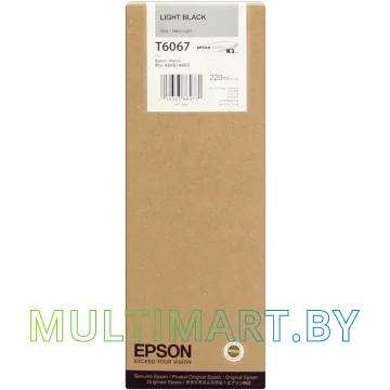 Картридж Epson C13T606700